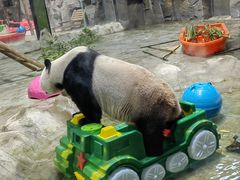 -栾川竹海野生动物园