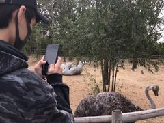 -大连森林动物园