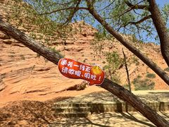 -波浪谷