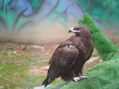 -杭州野生动物世界