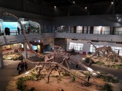 -自贡恐龙博物馆