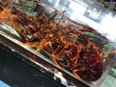 -尚海豆捞(乐虹坊店)