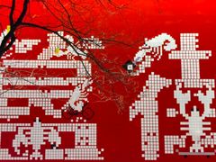 -簋街