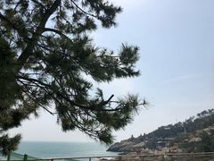 -海东龙宫寺