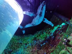 -青岛嘉年华主题乐园