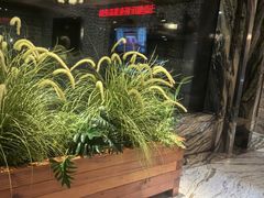 -浣溪沙富硒温泉