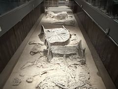 -北京大葆台遗址博物馆