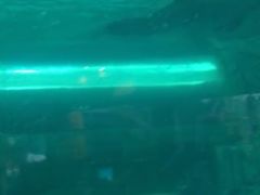 -波塞冬旅游度假区