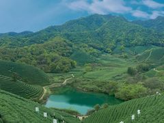 -龙坞茶村