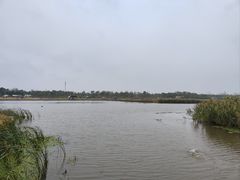 -春花秋色城市公园