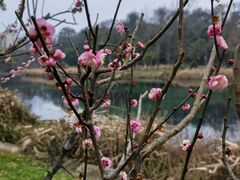 -花溪公园