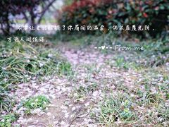 -木渎影视城