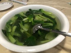 -东吴霸王兔(松青路店)