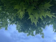 -常州明城墙