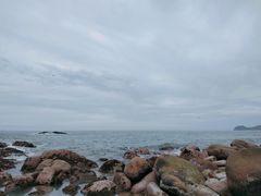 -广东惠东海龟国家级自然保护区