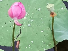 景观位-3W咖啡(国家软件园店)