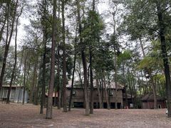 -铁山坪森林公园