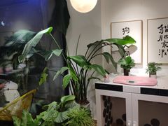 -Double Rui宠物酒店