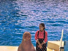 -泉城欧乐堡海洋极地世界