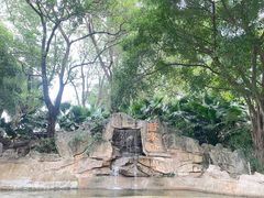 -深圳野生动物园