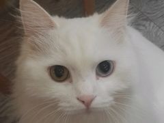 -小时光咖啡馆(北锣鼓巷店)