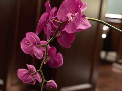 -中国证券博物馆