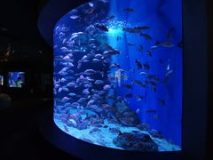 -成都浩海立方海洋公园