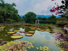 -国家植物园南园