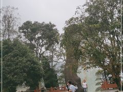 -雷波马湖风景区