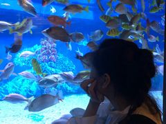 -成都浩海立方海洋公园