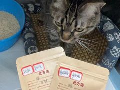 -美美宠物诊疗中心·异宠·骨科(滨江东信分院)