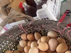 -马陆小张葡萄园农家乐