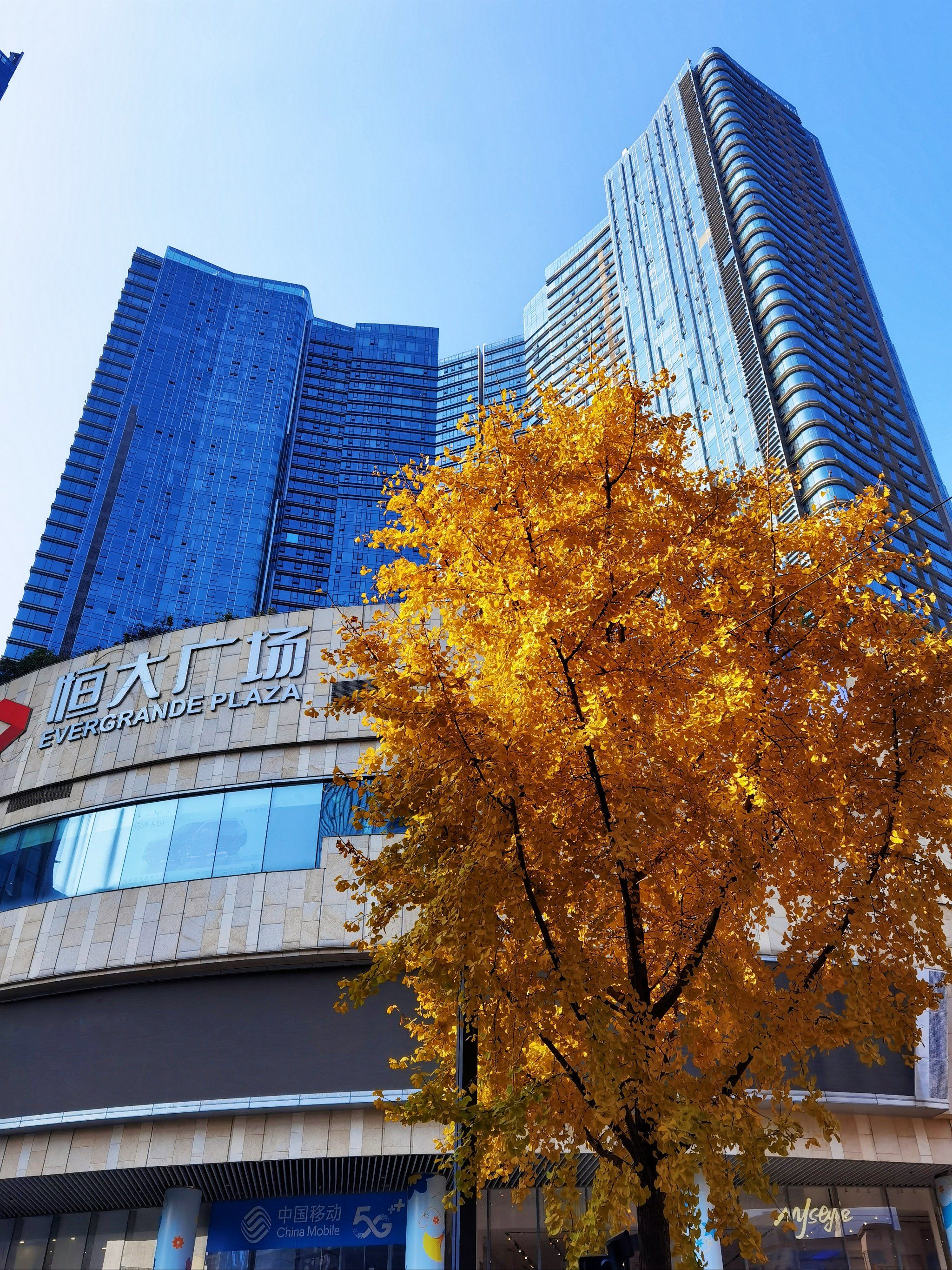 不知道现在这个恒大广场怎么样呢?