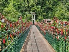 -西双版纳原始森林公园