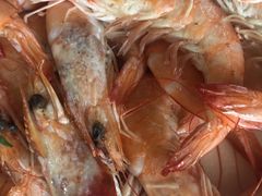 -宾朋海鲜特色美食餐厅·纯手工鲅鱼水饺(兴海路店)