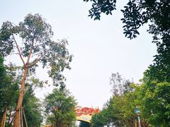 -美的鹭湖探索王国