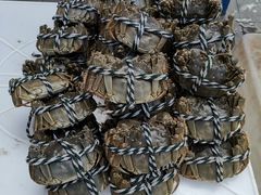 -八仙台服务区-停车场