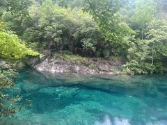 -石台牯牛降景区