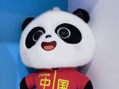 -成都世纪城天堂洲际大饭店