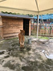 -萌宠亲子动物乐园(槐房万达店)