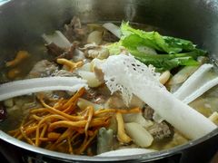 -山大王菌莊