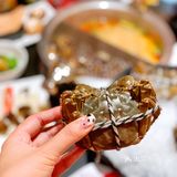 美食探店‖降霜牛寿喜烧