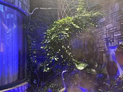 -慢丽江·云南野生菌土鸡锅(付家庄店)