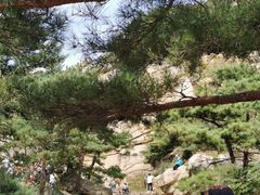 -无染寺