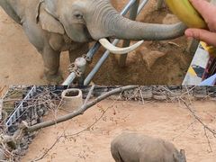 -西霞口神雕山野生动物世界