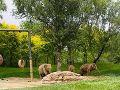 -北京野生动物园