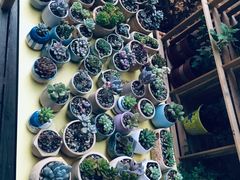-想家粒科学探索中心(青林湾店)