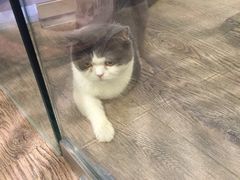 -小时光咖啡馆(开森度假森林店)