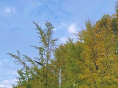 -浙江农林大学(东湖校区)