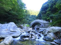 -少华山国家森林公园